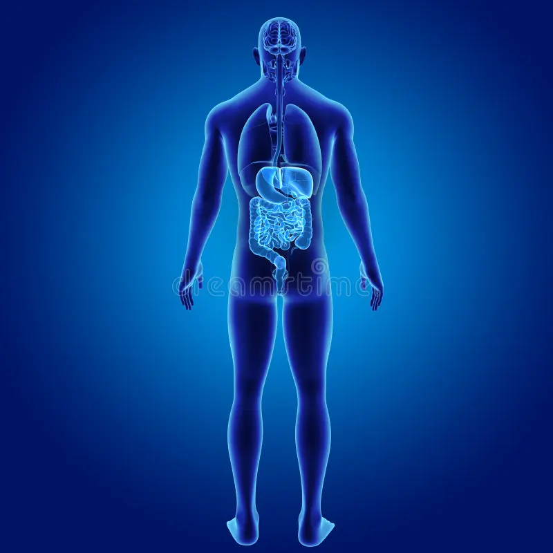 Basics of Medical Practice 1