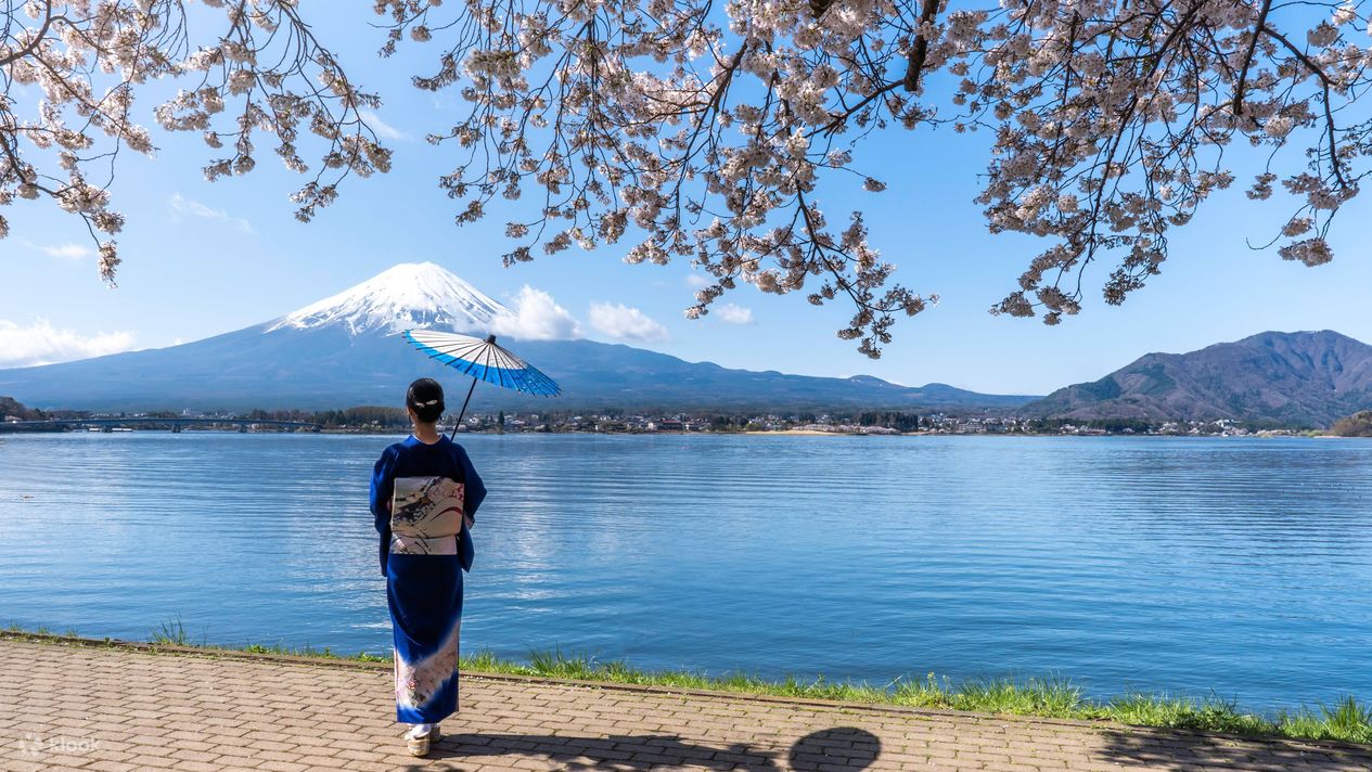 Experience: Life in Japan Story